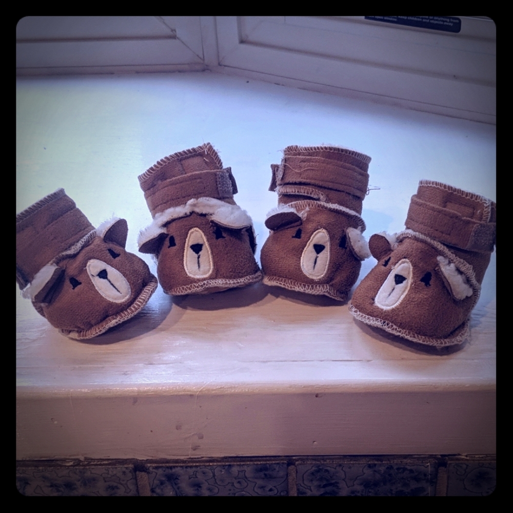 Dog Shoes- "Shepra Bear Booties"